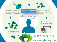 ���������µ�CAR-Tϸ�����Ʒ�������ҽ��