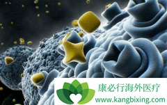 ��֢���Ǿ�ֻ֢��һ�����Բ�  