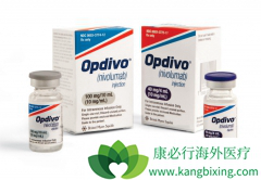 �ΰ��Ƕ���PD-1���Ƽ�������ռ����Ӧ֢֮һ