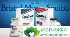 �ձ������Ͷ�ʡ��׼Opdivo�������Ʋ����г����ڻ򸴷���θ��