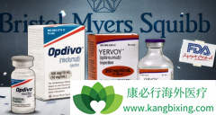 PD-1���Ƽ�Opdivo��֤ʵ�����й��ΰ�������Ч