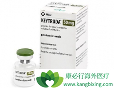 PD-1���Ƽ�Keytruda�������й�����