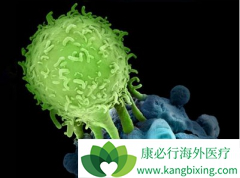 ����CAR-T�Ʒ������������Ƹ�����