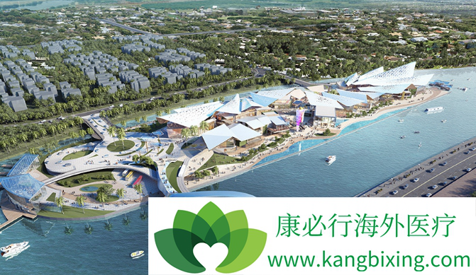 ҽ������