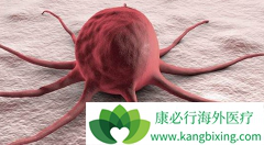 ͨ����CAR-Tҩ�����ͻ�������Ʒ�������