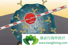 ����ЩPD-1ҩ���Ѿ����й��걨����?