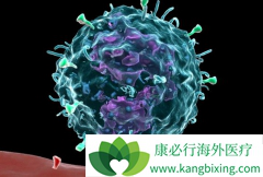 PD-1���Ƽ���FDA��ʽ��׼������Щ��֢?