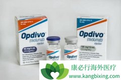 PD-1����Opdivo��������Щ��֢?