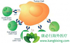 CAR-T����������Ӧ֢��ͨ�������и���չ