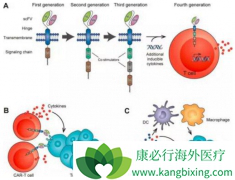 �����ҵCAR-Tϸ�����ƽ���ӿ����������׶�
