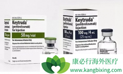 Keytruda(PD-1)���ϻ��Ƶ��ٴ�ʵ�����ݽ���