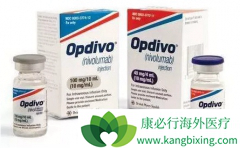 Opdivo(PD-1)������ƥľ�ʺ�TMB����10�Ļ���