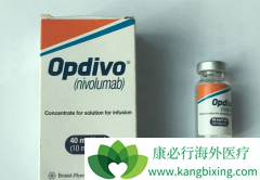 PD-1���䵥����������ڷΰ���������������