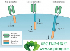����FDA��׼ŵ��CAR-T�Ʒ�Kymriah��CTL-019������