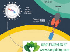 CAR-Tϸ�����ƶԱȹ�����ֲ�۸񲢲���