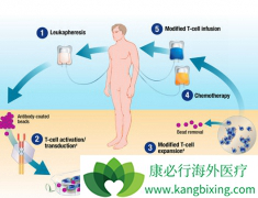 CRS��CAR-Tϸ�����Ʒ�����������ز�����Ӧ