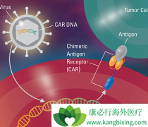 ŵ����Kite��ҩ��CAR-Tҩ���Ⱥ�����FDA��׼����