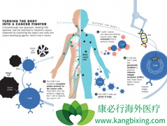 ŵ��CAR-T�Ʒ�CTL-019�������ר��ȫƱͨ��