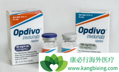 ��ʱ��ʩ��Opdivo��ȫ���׸����е�PD-1����ҩ��
