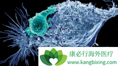 CAR-T�Ʒ�Kymriah�ĵ��������۶��Ԥ��