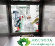 CAR-Tϸ���Ʒ���Ӧ���Դ��ڳ����𲽽׶�