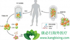 CAR-T����Чǰ��δ�ص�ͬ���г�����