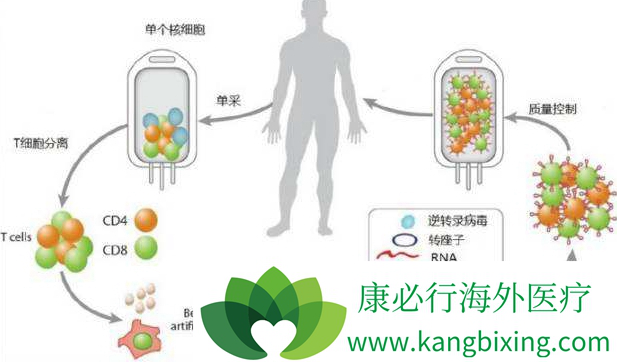 CAR-T