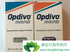 ���ڿ��г�NSCLC����Ҳ�ɴ�PD-1����������