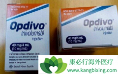 PD-L1���ԵĻ���ʹ��PD-1�¸��������Կɻ���