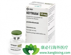 ��ʱ��ʩ����Ĭɳ����PD-1���Ƽ������۶��100��