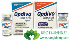 �Ӽ����Ƕ���������PD-1�������ظ�����Ϊ��