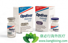 Ŀǰ�����ж�ҹ�˾��չPD-1������ҩ���з�