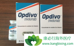 ����PD-1�з������ڹ��ڷ����ʽϸߵİ���