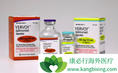 ����PD-1/PD-L1������ҩ����о���չ