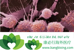 �������ڻ������Щ�����ķΰ�ת�Ʋ�λ?