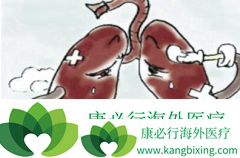 �ΰ���ת�Ʒ����ǳ��������Ʒ���֮һ