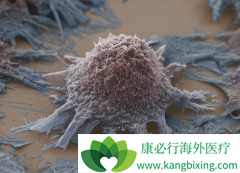 Զ�방֢�����ճ�������������7��