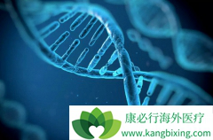 ����CAR-T����������Tϸ��ʶ��ϸ��