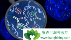 ����CAR-T�Ʒ��԰�֢���߻����ȫ��Ч