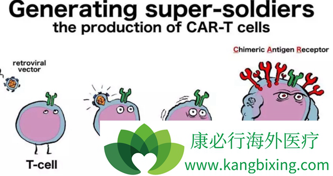 CAR-T