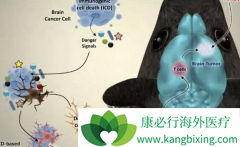 CAR-Tϸ�����Ƶĸ����û���߷�ҩ��ķ���