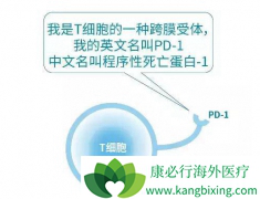 FDA��׼��PD-1���Ƽ�Ӧ���ڷΰ�������