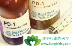 �ΰ���ɱ��PD-1���Ƽ������Ч�밲ȫ��