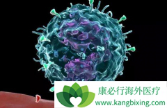 ���߼�����չ��ɽ���PD-1��������