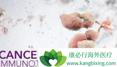 CAR-Tϸ���Ʒ��ĳ�������������Щ?