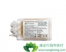 CAR-Tϸ���Ʒ������������ĸ�������ϸ�����ӷ籩