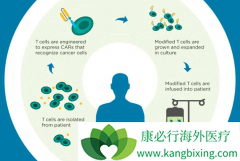 ����ʹ��CAR-T�Ʒ�KYMRIAH��������Ӧ����踶��