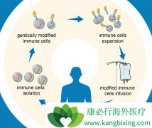 ��������ʹ��CAR-Tϸ�����Ʒ���KYMRIAH���г�����Ӧ