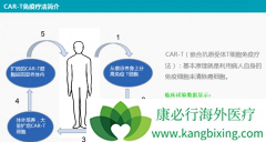 KYMRIAH��������ζ��CAR-Tϸ�����Ƶ�Ч������ȫ�Եõ��Ͽ�