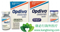 PD-1���Ƽ���Keytruda�Լ�Opdivoռ���ȵ�λ